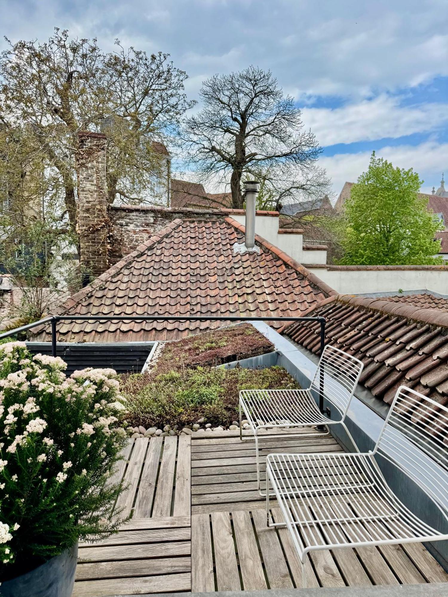 Bed and Breakfast Sleeping Swan Brujas Exterior foto